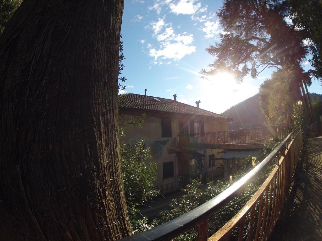 B&B Il Cedro ジェノヴァ エクステリア 写真